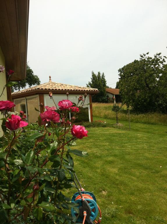 Le Clos Castel - Gite Equipe 카스텔잘루 외부 사진